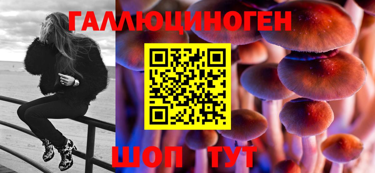 Псилоцибиновые грибы Magic Shrooms  Вход с VPN  Богородск 